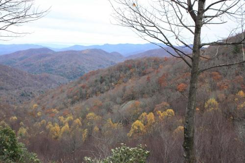 A scenic view of rolling mountains covered in autumn foliage, with bare trees in the foreground.