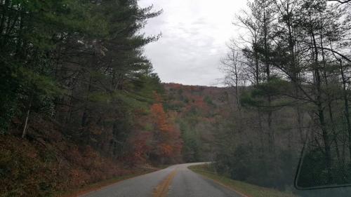 A winding road through a forest with autumn foliage and overcast skies.