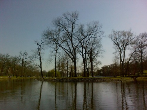 Bare trees reflect in a calm lake under a clear blue sky, surrounded by a peaceful park landscape.