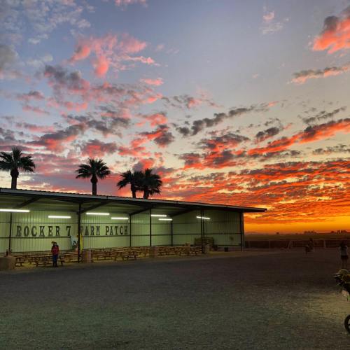 Sunset over Rocker 7 Farm Patch, with vibrant clouds and palm trees silhouetted against a colorful sky.