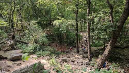 A lush green forest with a rocky path and people walking along it, surrounded by trees and natural scenery.
