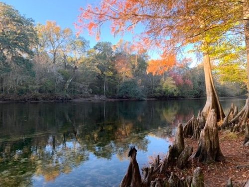 A serene river scene with autumn foliage, cypress trees, and calm water reflecting the colorful landscape.