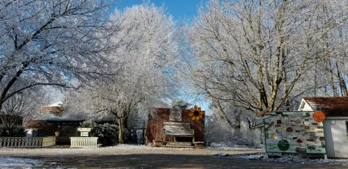 Frost-covered trees and a rustic building in a winter landscape under a clear blue sky.