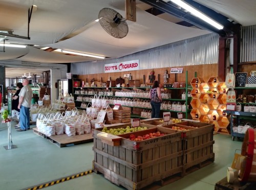 Interior of a market with wooden crates of apples, shelves of products, and customers browsing in a rustic setting.