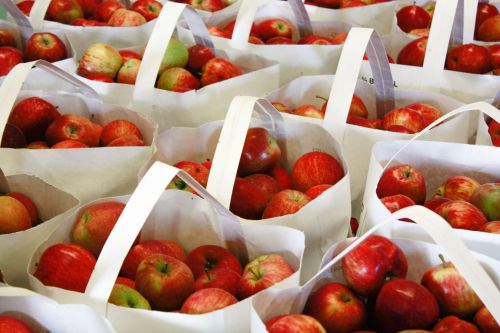 Bags filled with red apples arranged neatly in rows.