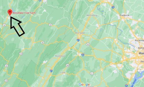 Map highlighting Woodlake Tree Farm in the northern region, near Martinsburg and Winchester, West Virginia.