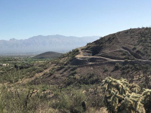 A scenic view of rolling hills and mountains under a clear blue sky, with desert vegetation in the foreground.