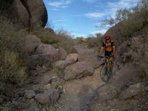 A mountain biker navigates a rocky trail surrounded by desert vegetation and boulders under a blue sky.