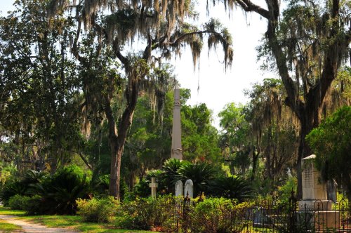 A serene cemetery scene with tall trees draped in Spanish moss and a prominent monument surrounded by greenery.