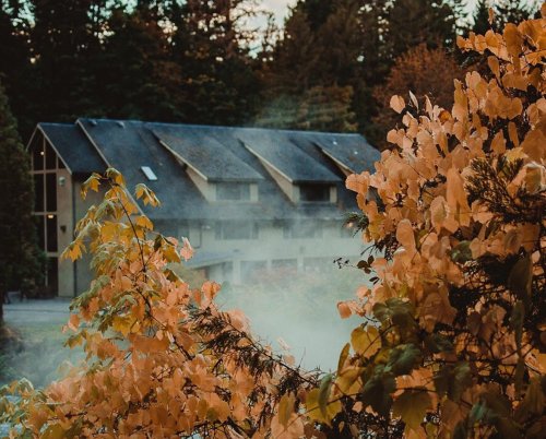 A misty scene featuring a building surrounded by trees with autumn leaves in warm hues.