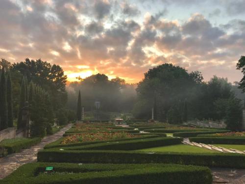 A misty garden at sunrise, featuring neatly trimmed hedges, colorful flowers, and trees under a cloudy sky.