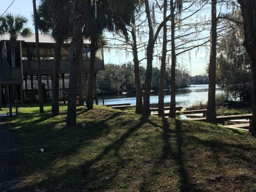 A serene riverside scene with a wooden structure, palm trees, and reflections on the water under a clear sky.