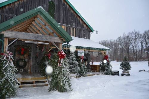 A snowy scene of a rustic barn entrance decorated for the holidays with wreaths and red bows.