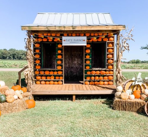 A rustic pumpkin stand with pumpkins on the walls, surrounded by hay bales and a clear blue sky.