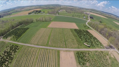 Aerial view of a patchwork landscape with fields, trees, and a road, under a blue sky with scattered clouds.