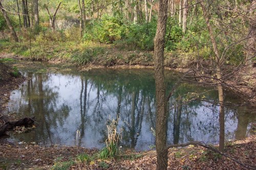 A serene pond surrounded by trees, reflecting the greenery and autumn leaves on the water's surface.