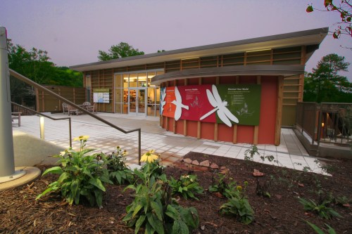 Modern building with large windows and colorful dragonfly murals, surrounded by landscaped gardens at dusk.