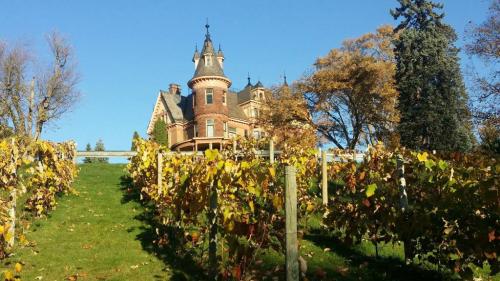 A grand, turreted mansion surrounded by colorful autumn vineyards under a clear blue sky.
