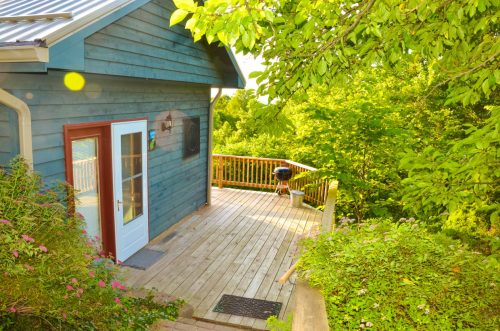 A blue house with a wooden deck surrounded by lush green trees and flowers, featuring a grill on the deck.