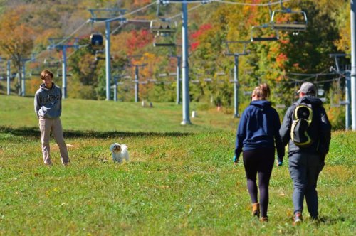 A person walks a dog in a grassy area near a ski lift, while two people stroll in the background. Autumn foliage is visible.