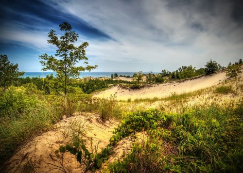 A scenic view of sandy dunes and lush greenery, with a glimpse of the ocean under a blue sky.