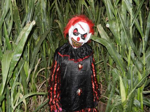 A child in a creepy clown costume with a painted face stands among tall corn stalks at night.