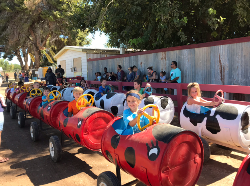 Children sitting in colorful cow-themed ride-on toys, with spectators watching in the background at a fair.