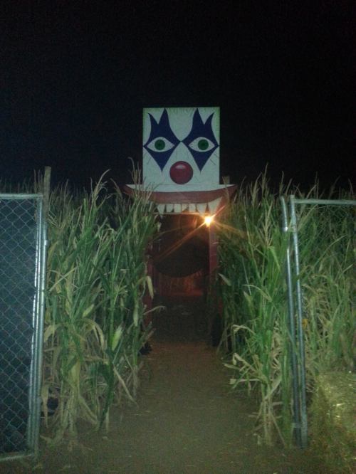 A spooky clown entrance surrounded by tall corn stalks at night, illuminated by a faint light.