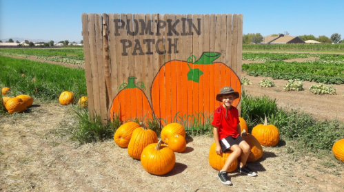 A child in a red shirt sits on a pumpkin in front of a wooden sign that reads "Pumpkin Patch" with painted pumpkins.