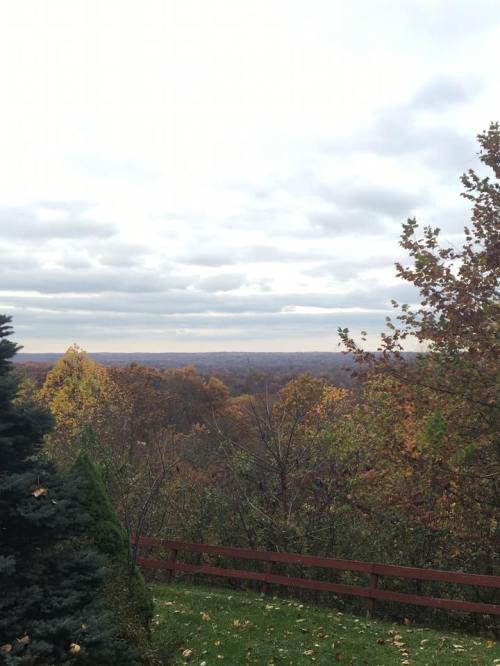 A scenic view of autumn foliage with colorful trees and a cloudy sky in the background.