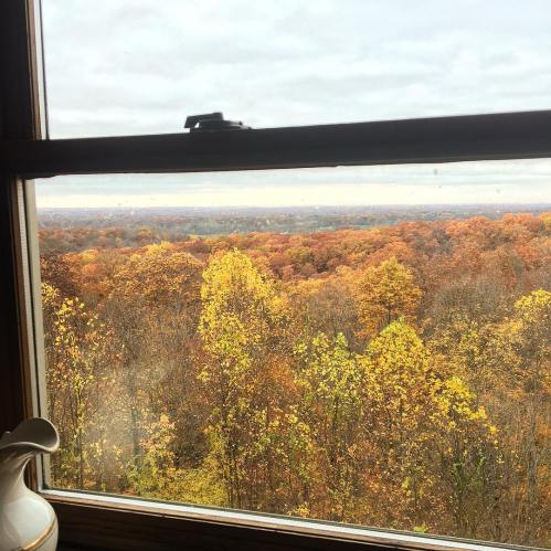 View of a vibrant autumn landscape through a window, showcasing trees in shades of orange and yellow under a cloudy sky.