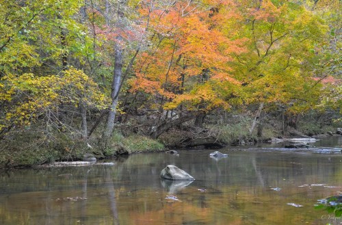 A serene river scene with colorful autumn trees reflecting in the water, featuring a large rock in the foreground.