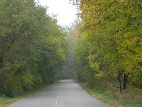 A winding road surrounded by trees with autumn foliage, creating a serene and peaceful atmosphere.