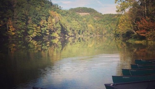 A serene river scene with canoes lined up, surrounded by lush green trees and a calm, reflective water surface.