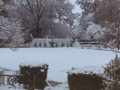 A snowy garden scene with a white-covered lawn, trees, and a decorative fence in the background.