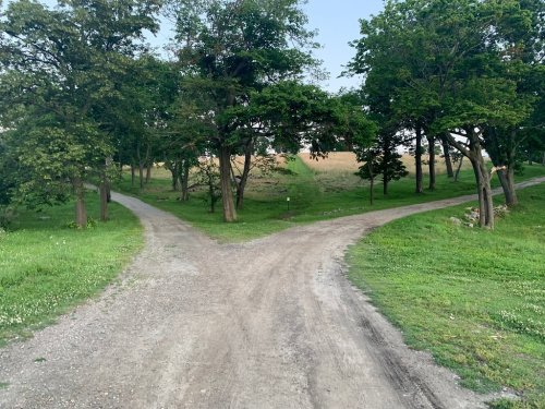 A dirt path splits into two directions, surrounded by green trees and grass, leading to open fields in the distance.