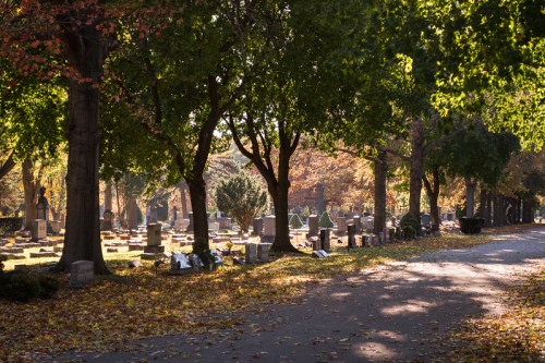A serene cemetery path lined with trees, colorful autumn leaves, and gravestones under soft sunlight.