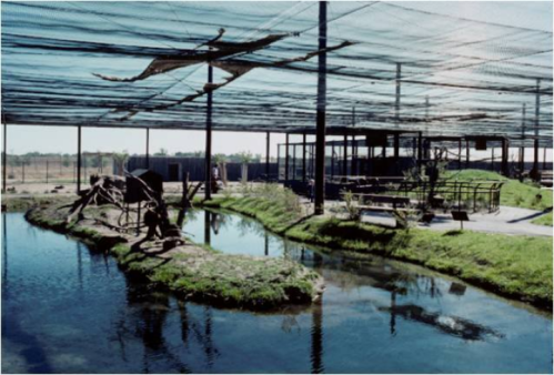 A spacious animal enclosure with a water feature, grassy areas, and a netted roof for protection.