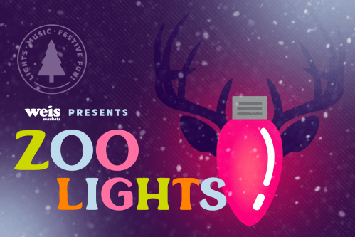 Colorful graphic featuring a festive light bulb and antlers, promoting "Zoo Lights" event by Weis Markets. Snowy background.