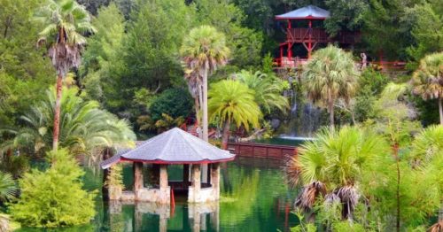 A serene landscape featuring a gazebo on a calm lake, surrounded by lush greenery and palm trees.