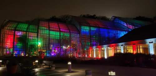 A brightly lit greenhouse at night, featuring colorful lights in red, blue, and green illuminating the glass structure.