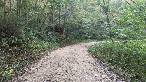A winding gravel path through a lush green forest, surrounded by trees and foliage.