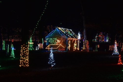 A festive display of colorful Christmas lights on a house and surrounding trees in a dark night setting.
