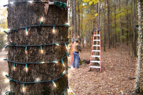 A tree wrapped in holiday lights, with a person on a ladder decorating nearby in a wooded area.