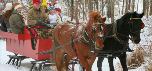 A group of people enjoying a horse-drawn sleigh ride through a snowy forest.