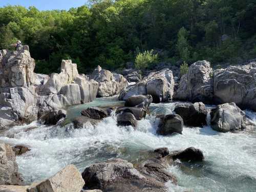 A rocky river landscape with flowing water and lush green trees in the background under a clear blue sky.