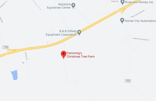 Map showing the location of Flemming's Christmas Tree Farm near major roads and nearby landmarks.