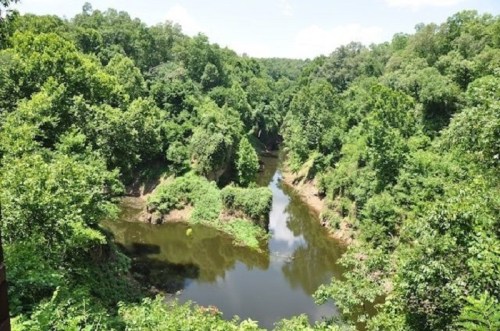 Lush green trees surround a calm river winding through a scenic valley under a clear blue sky.