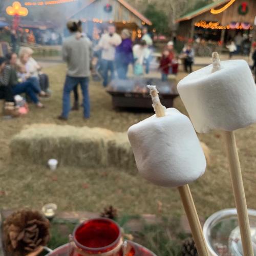 Two marshmallows on sticks in the foreground, with a festive outdoor gathering and smoke in the background.