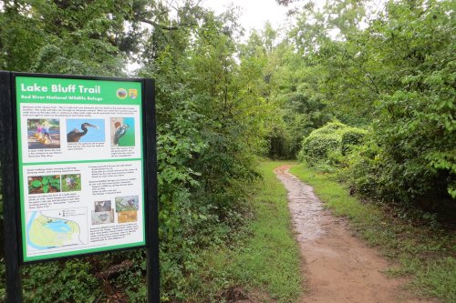 A trail sign for Lake Bluff Trail in a lush, green forest with a dirt path leading into the woods.